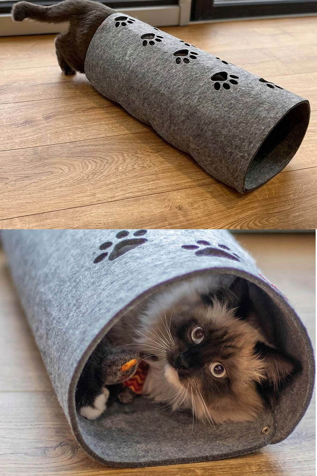 Pet cat deals tunnel
