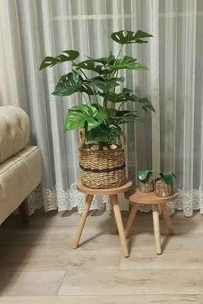 2'li Ahşap Ayaklı Çiçeklik Saksılık Standı Dekoratif Yan Sehpa Seti 25 Cm Çap Atlantik Çam TYC00524941866
