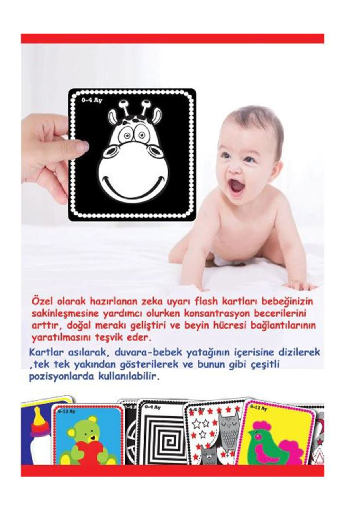 DENGE PAZARLAMA Diytoy Flash Cards Bebeğimin Ilk Zeka Kartları Bebekle Için Eğitici Aktivite Kartları fotoğrafı 2 (önizleme)
