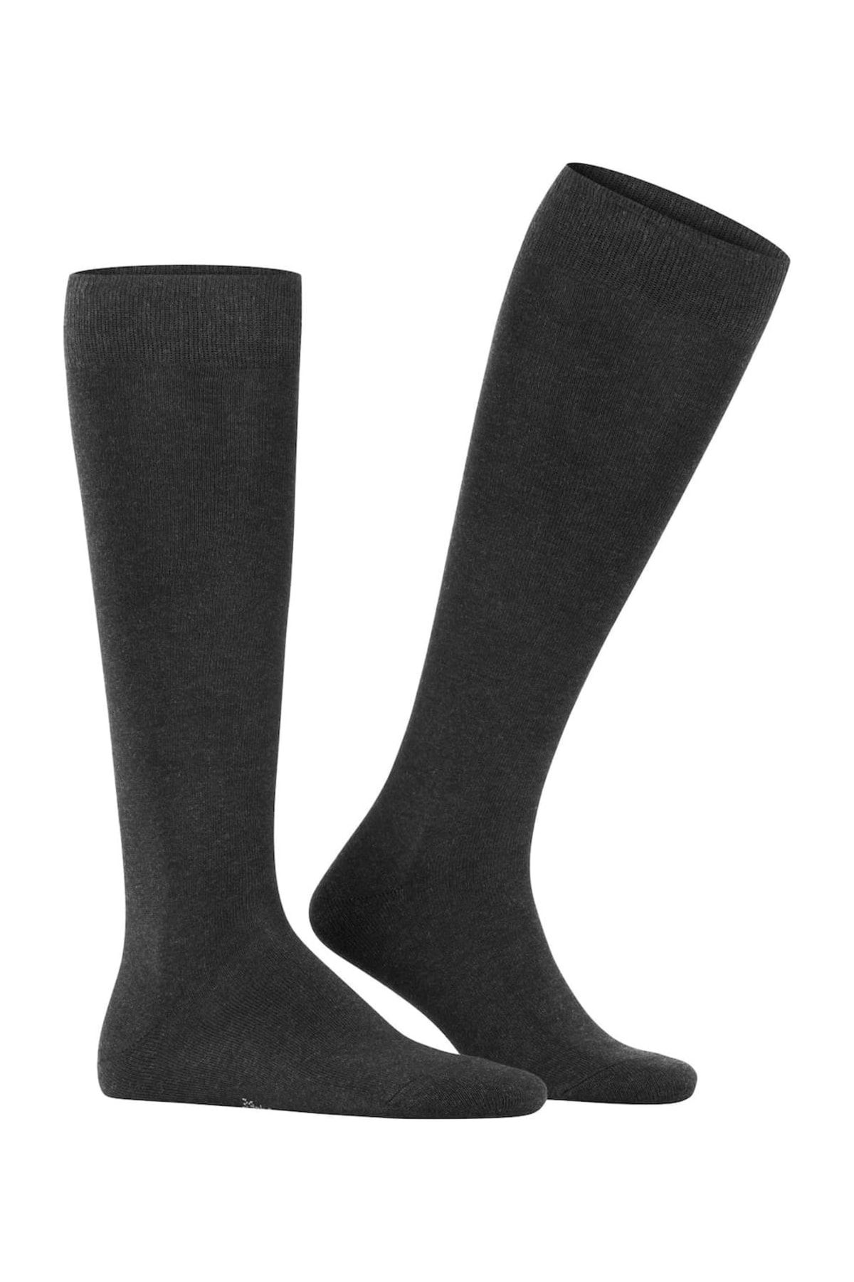 FALKE-Herren Socken – Familie, Kniestrümpfe, Einfarbig Design 2