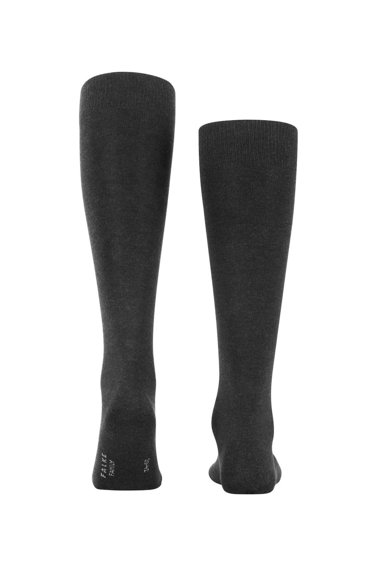 FALKE-Herren Socken – Familie, Kniestrümpfe, Einfarbig Design 3