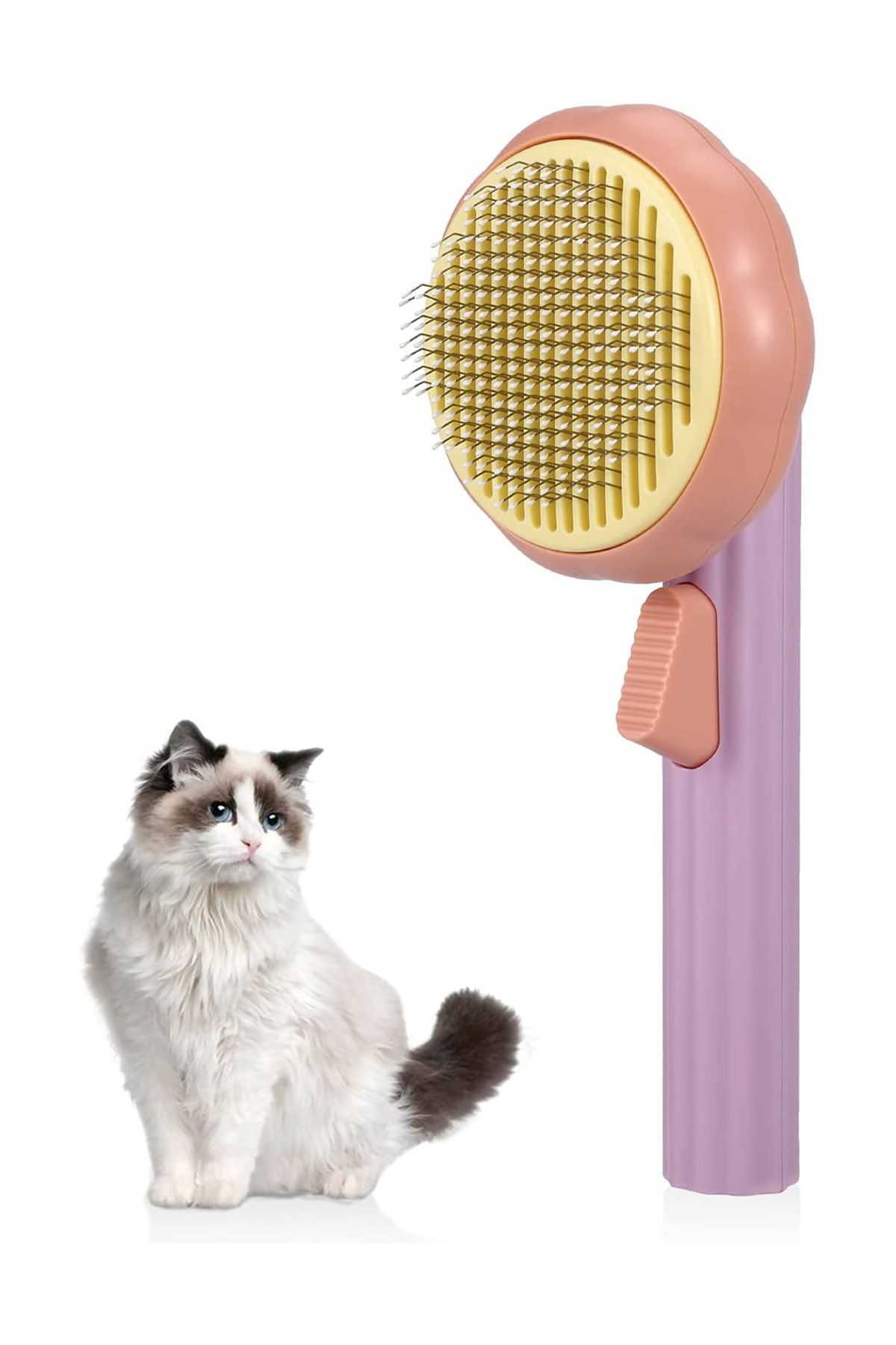 Pet supplies for cats hot sale