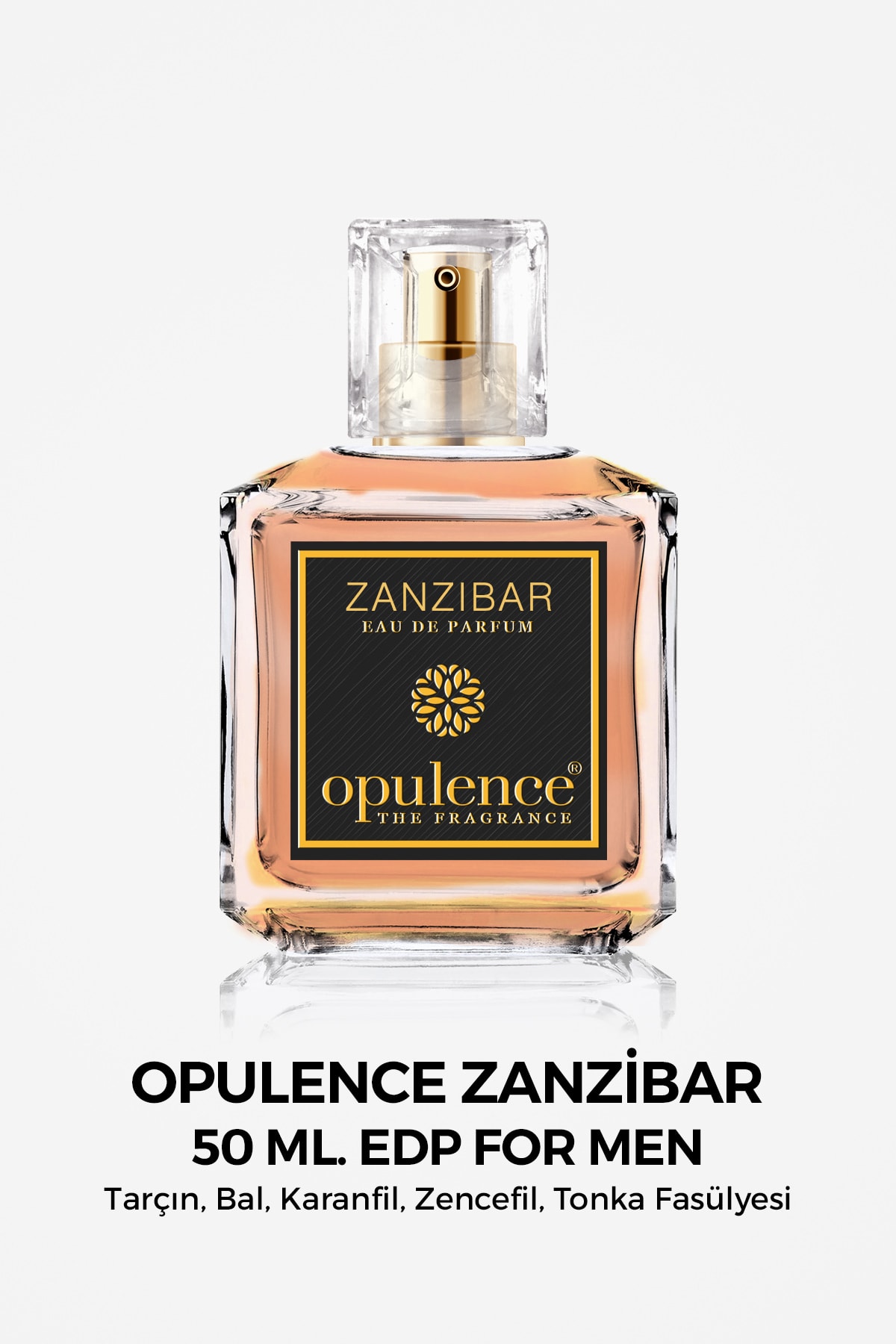 HC Care Opulence Zanzibar Edp 50 Ml Erkek Parfüm