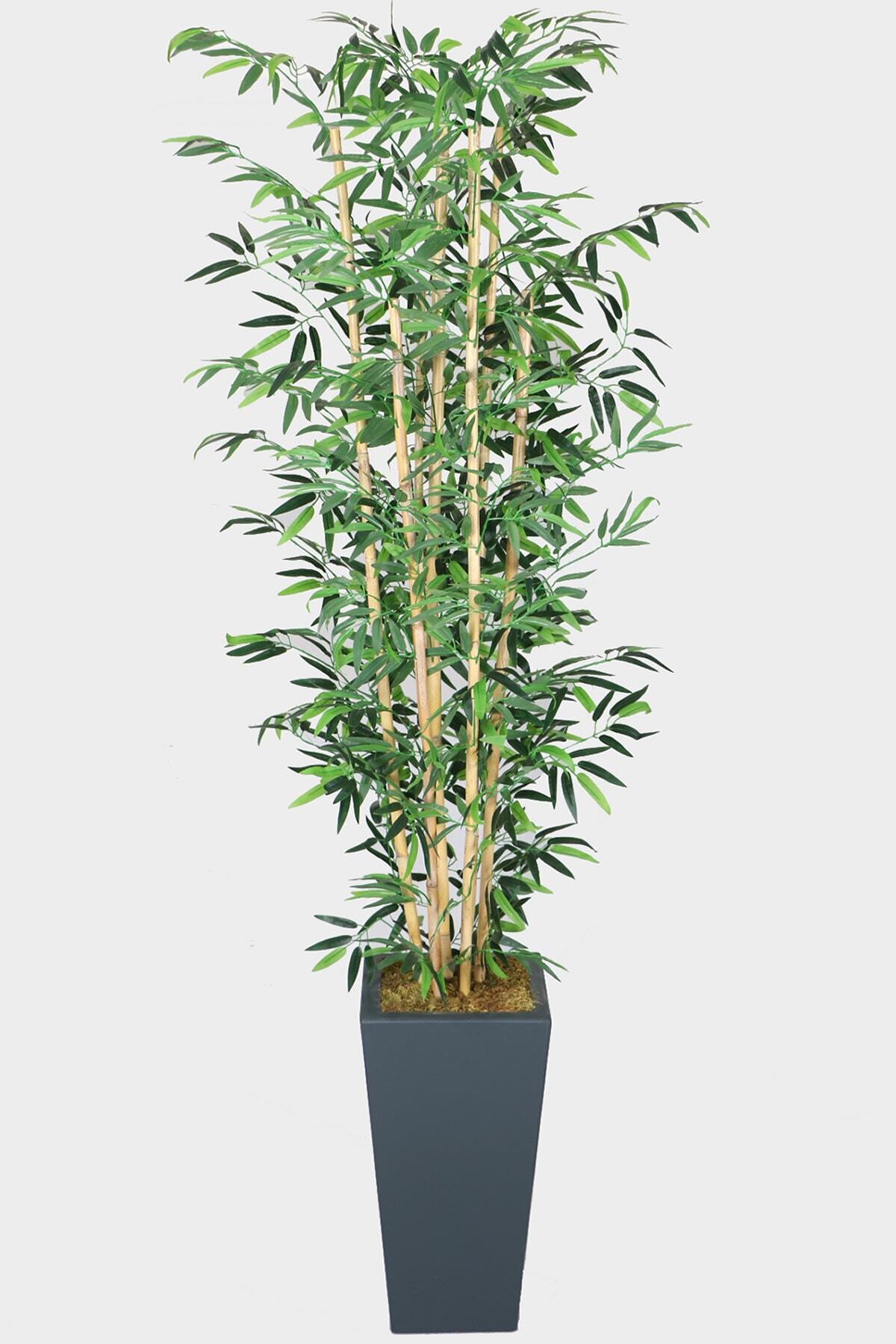 Artificial Bamboo Tree with 7 Trunks (wet Leaf) 230 Cm