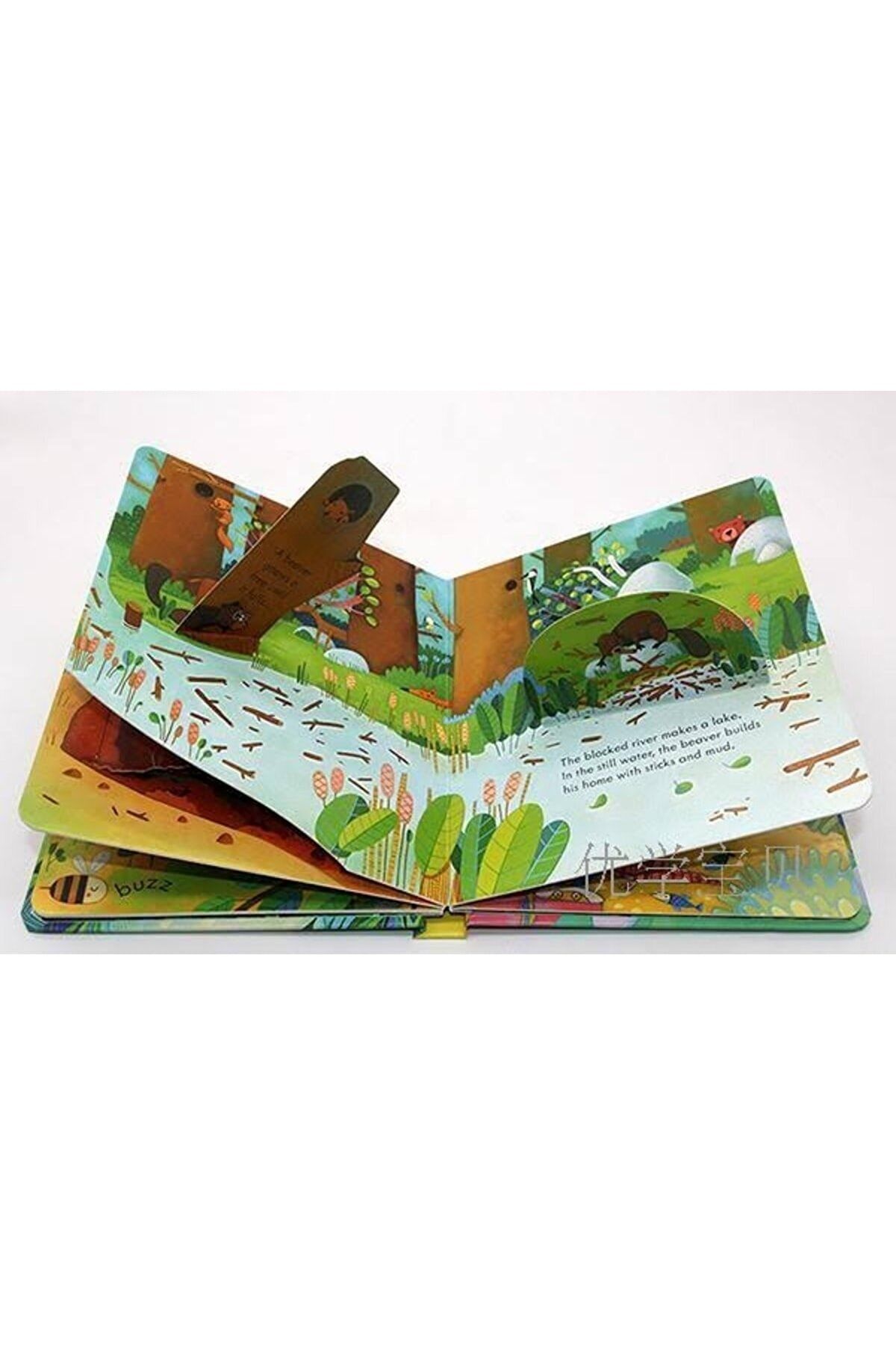 Beryl Books-Usborne Peep Inside Animal Homes (lift The Flap Board Book/Wingboard Cardboard Book) 2