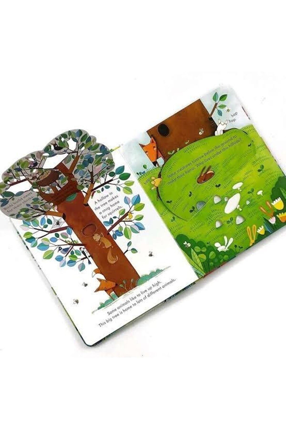 Beryl Books-Usborne Peep Inside Animal Homes (lift The Flap Board Book/Wingboard Cardboard Book) 4