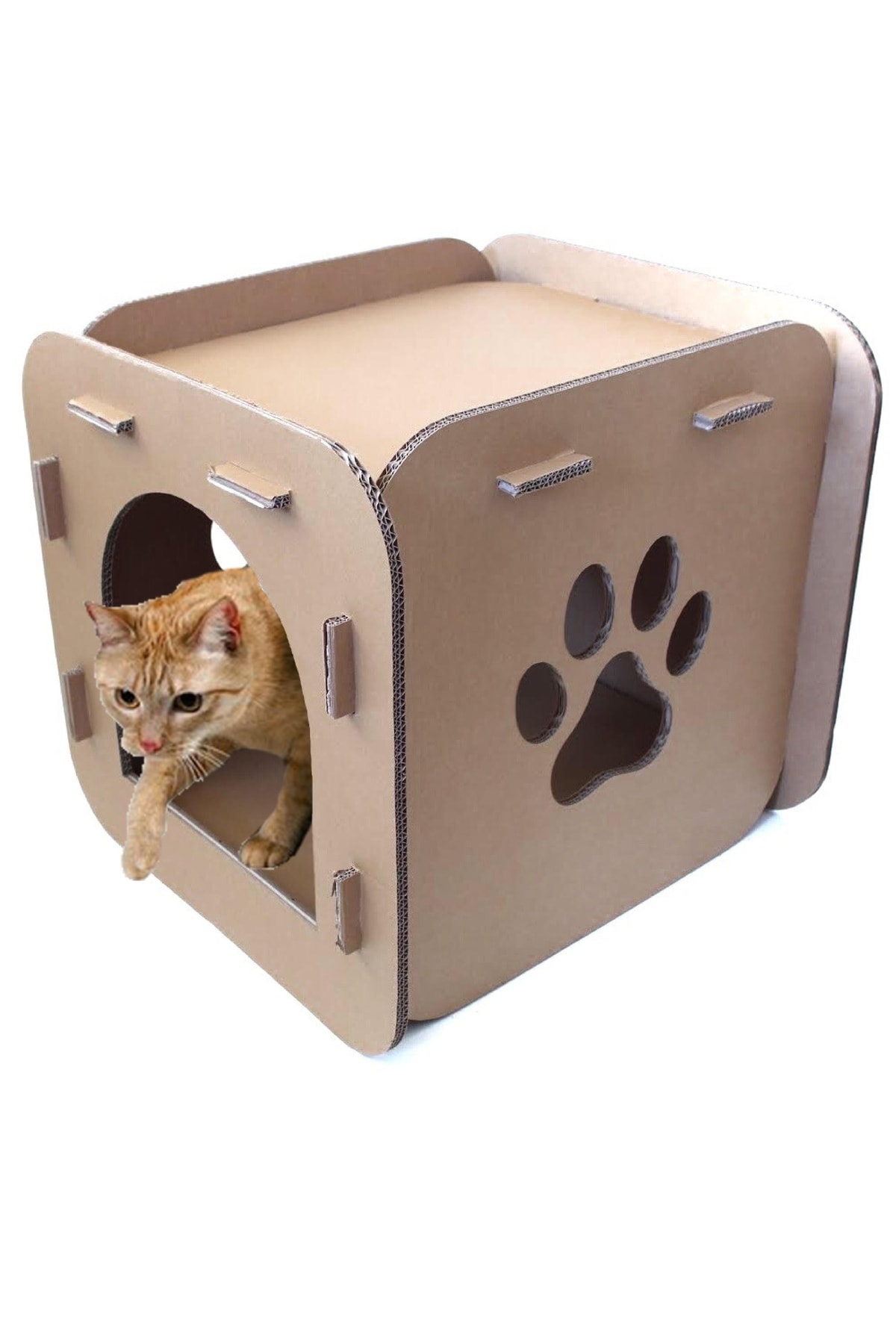 KOLİ KOLAY Kedi Evi