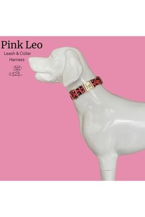 Pink Leo Boyun Tasması Xs-l Beden TYC00335607448