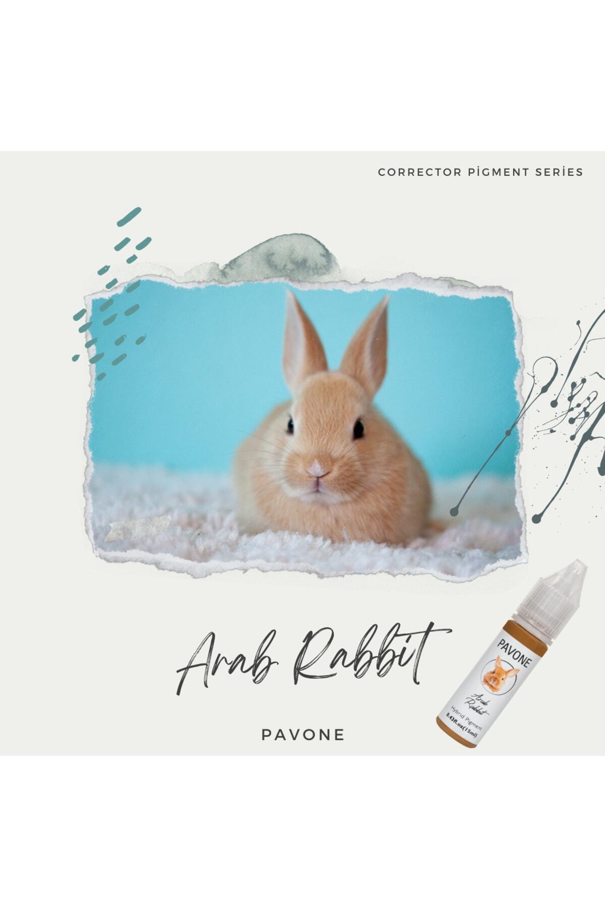 رنگ ابرو  قهوه ای Pavone | ASCASAV3 اورجینال - تصویر 2