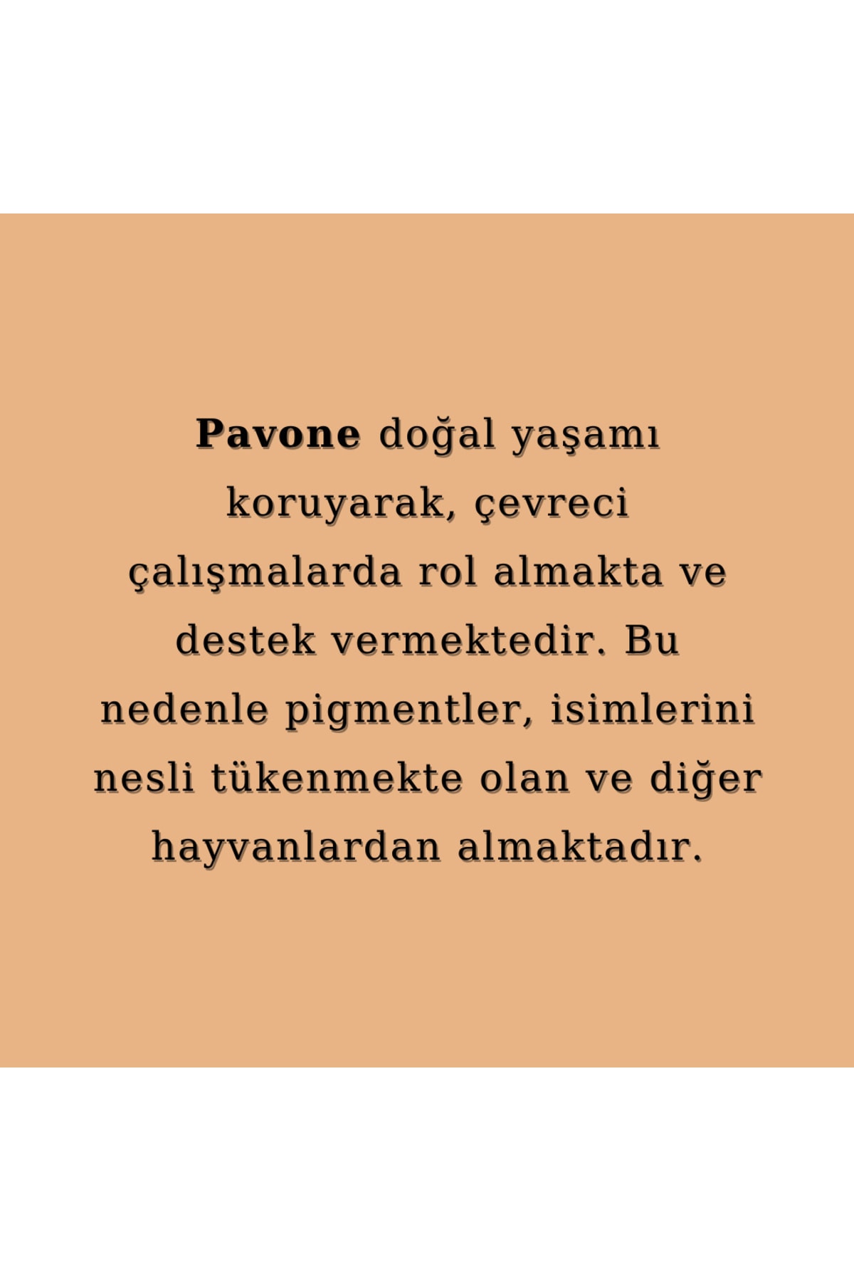 رنگ ابرو  قهوه ای Pavone | ASCASAV3 اورجینال - تصویر 3