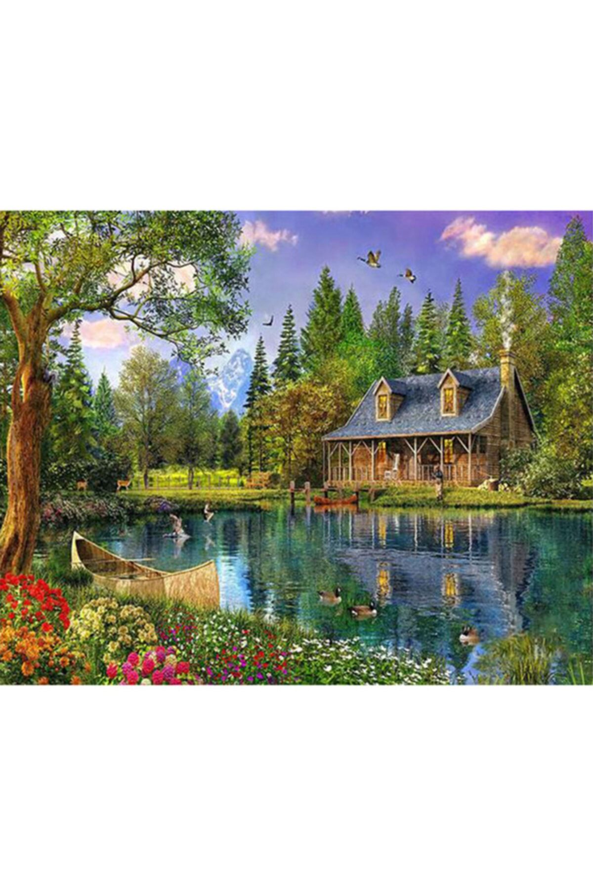 Patladi Gitti Gol Evi Sayilarla Boyama Tuvale Gerili Hobi Seti 40x50 Cm Fiyati Yorumlari Trendyol
