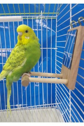 best cage silindir salon kus kafesi siyah 34x63cm ithal urun fiyati yorumlari trendyol