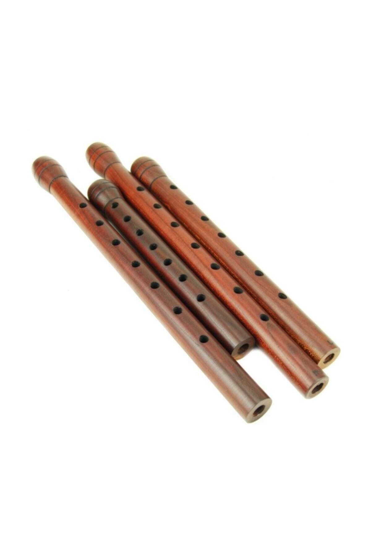 Bade-Mey Plum Tree Thick Fa (large) Professional Including Tuning + Cane 2