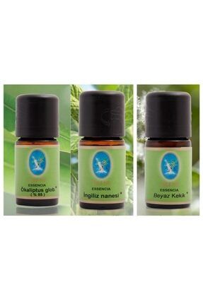 Defne Organik Okaliptüs Ingiliz Nanesi Beyaz Kekik Yağı 10 Ml 3 'lü Paket Aromaterapi 68521445211