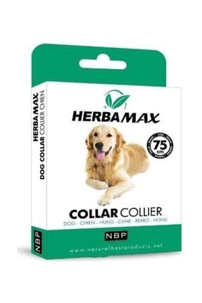 Max Biocide Herba Max Kopek Pire Ve Dis Parazit Kene Tasmasi 75 Cm Trendyol