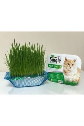 trixie kedi canlandirici valerian