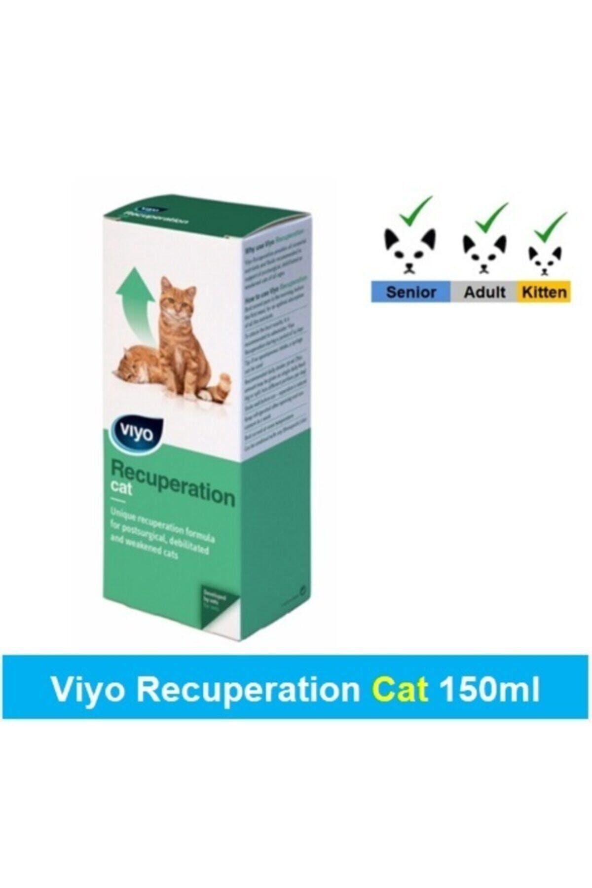 viyo recuperation kedi ek besin takviyesi