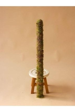 Bitki Destek Çubuğu (yosun Sopası) 60cm 0000999