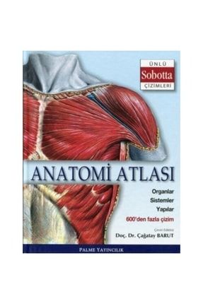 Anatomi Atlası Ünlü Sobotta Çizimleri A19/69 Palme Yayınevi-9786053552437-PALM