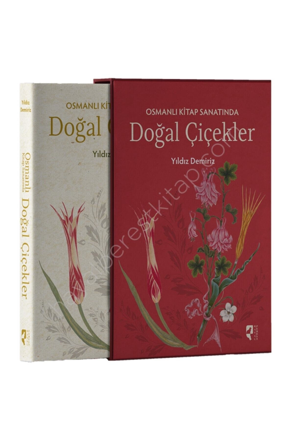 HayalPerest Kitap Osmanlı Kitap Sanatında Doğal Çiçekler