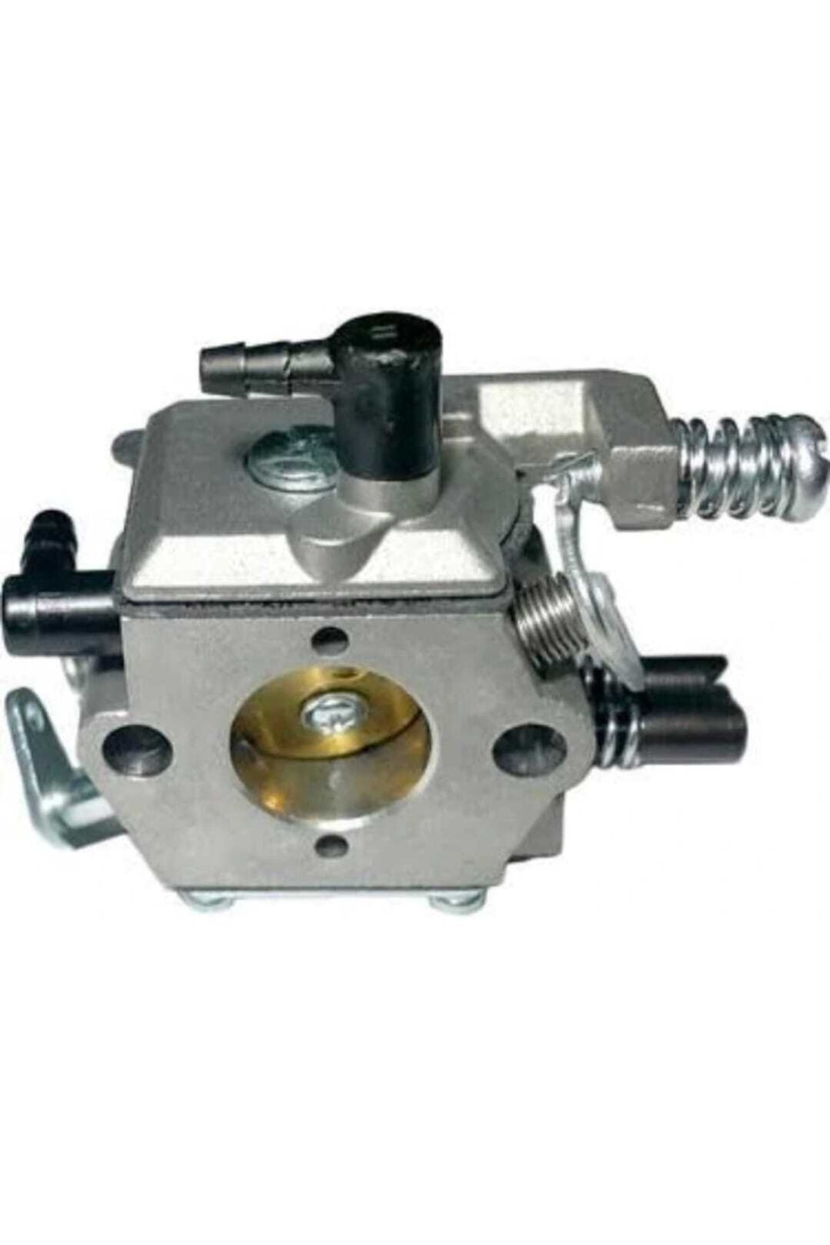 Güney Çin Testere Karbiratör