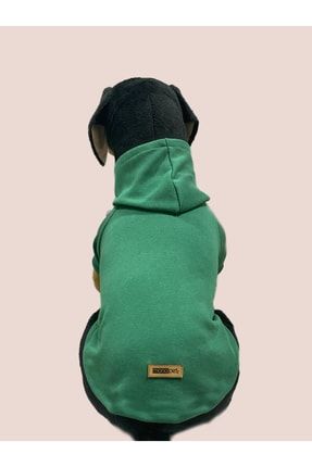 Kapişonlu Sweatshirt Köpek Ve Kedi Kıyafeti - Düz Yeşil swyesil01