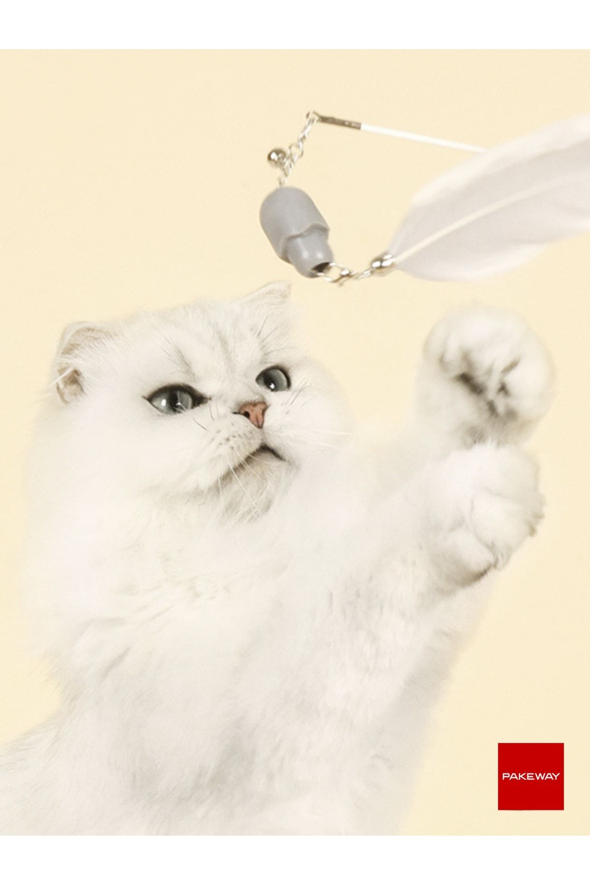 PAKEWAY-''lucky Cat'' Extendable and Retractable Laser Lighted Cat Playing Rod - Pink - 7