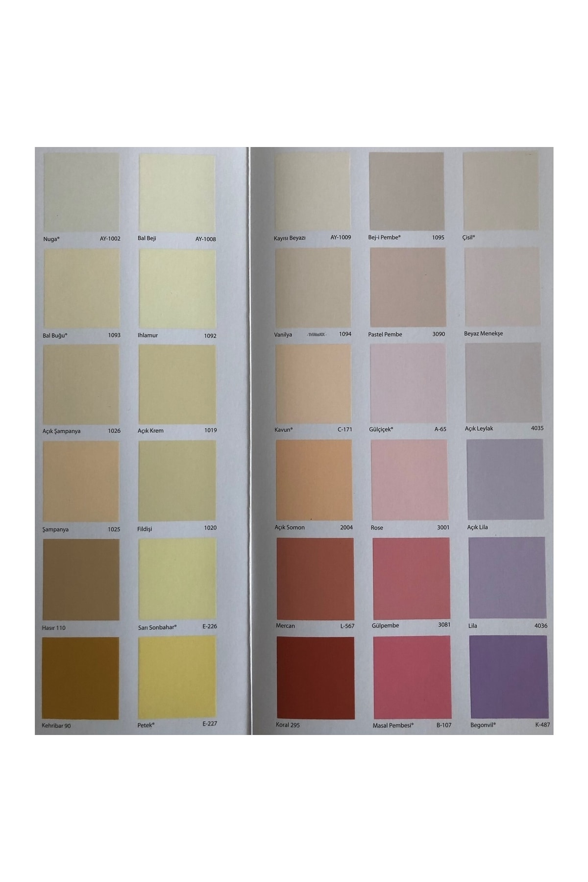 Momento Max Soft Matte Wipable Silicone Interior Paint
