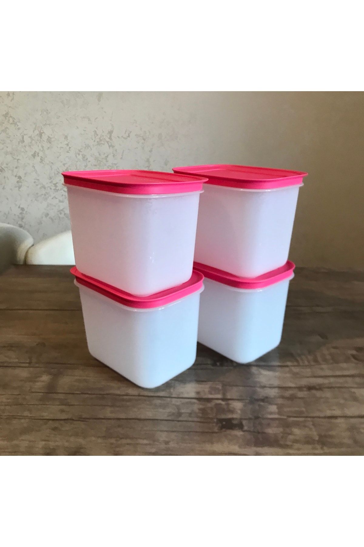 Tupperware-Storage Container for Alaska 1