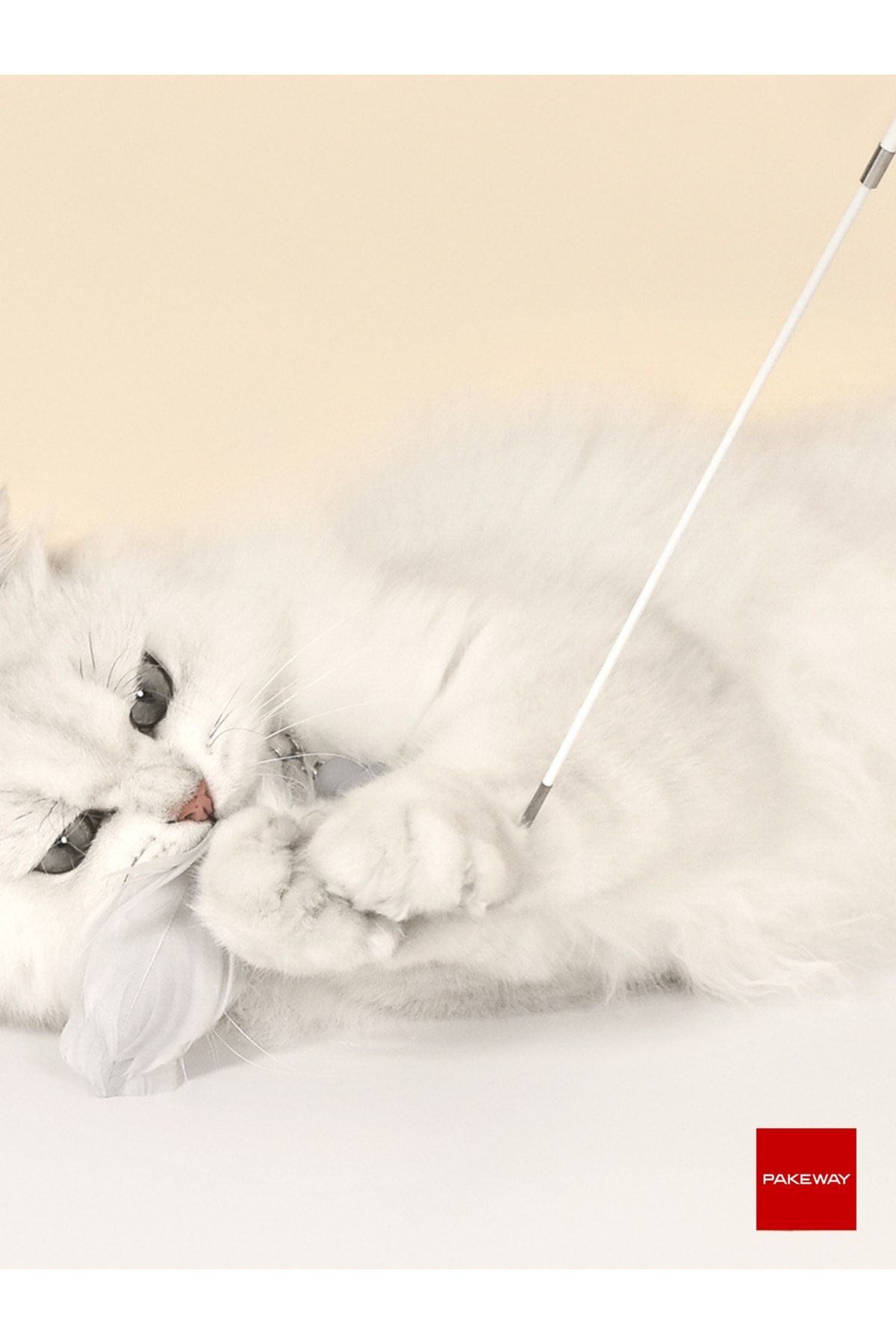 PAKEWAY-''lucky Cat'' Extendable and Retractable Laser Lighted Cat Playing Rod - Pink - 3