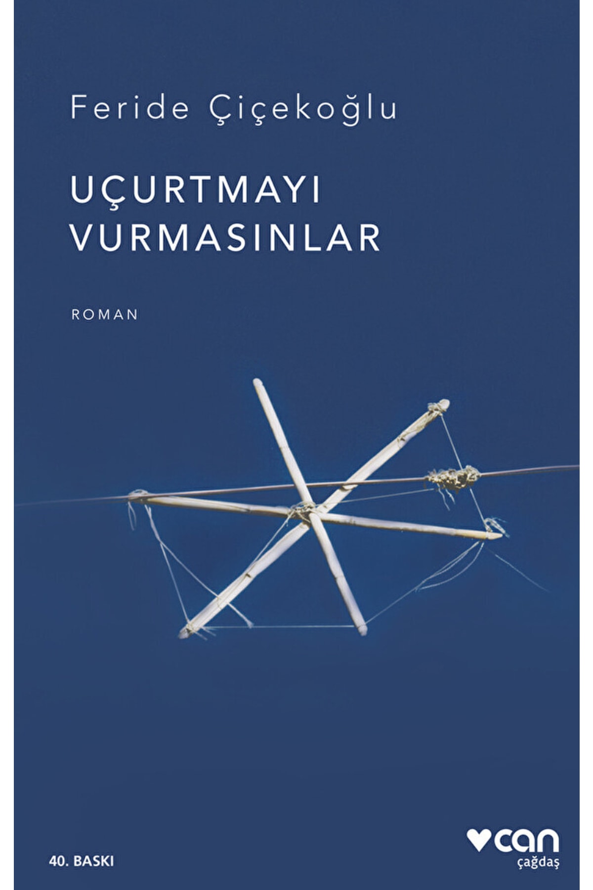 Can Yayınları Uçurtmayı Vurmasınlar / Feride Çiçekoğlu / / 9789750745232