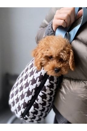 Çıkarılabilir Sert Tabanlı Çanta Yatak Olabilen Siyah Kazayağı Köpek Çantası thousekazayagi
