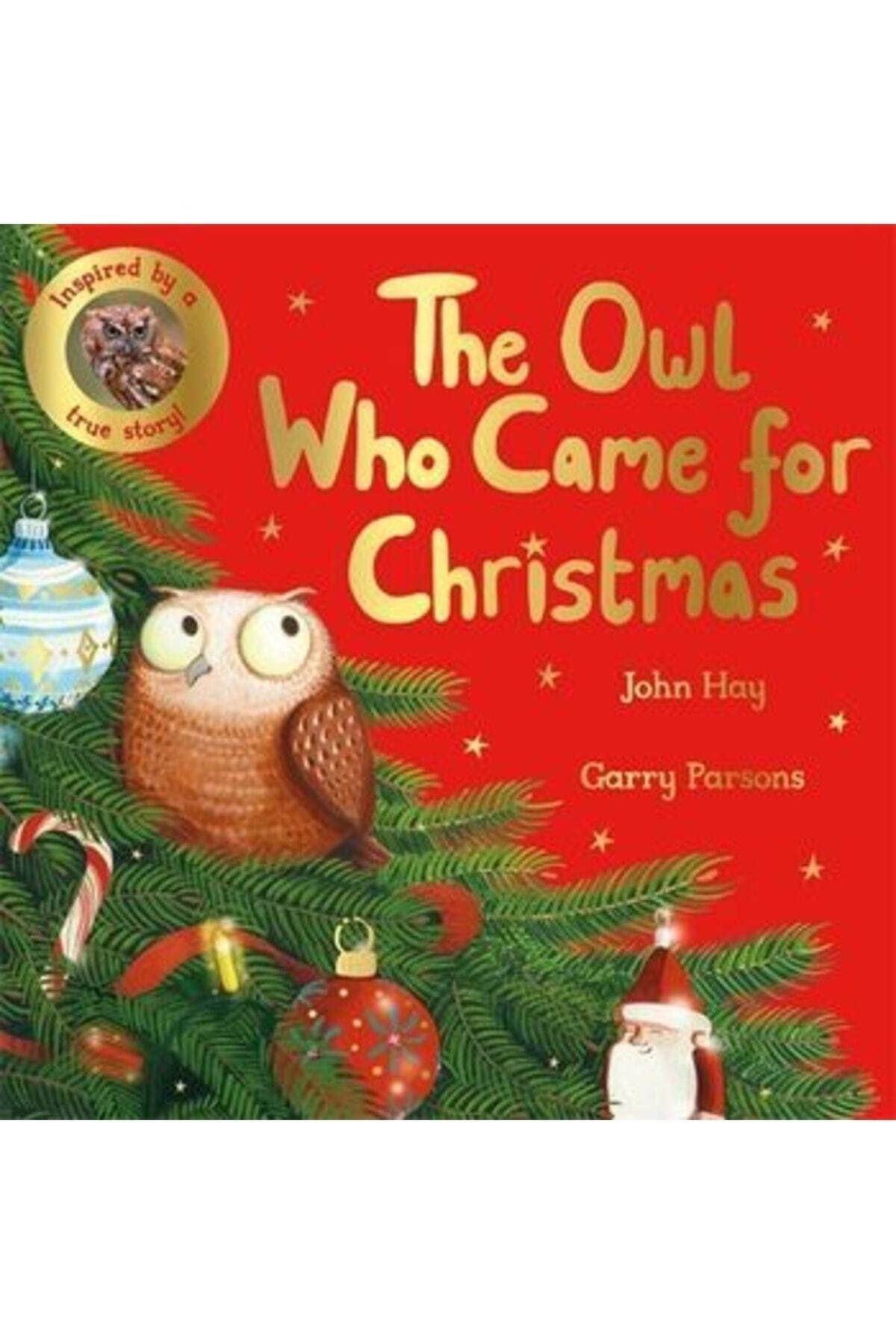 Genel Markalar The Owl Who Came For Christmas
