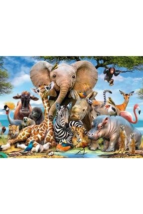 Hayvanlar Alemi 1000 Parça Ahşap Puzzle Yapboz gvnkpuzzle0089