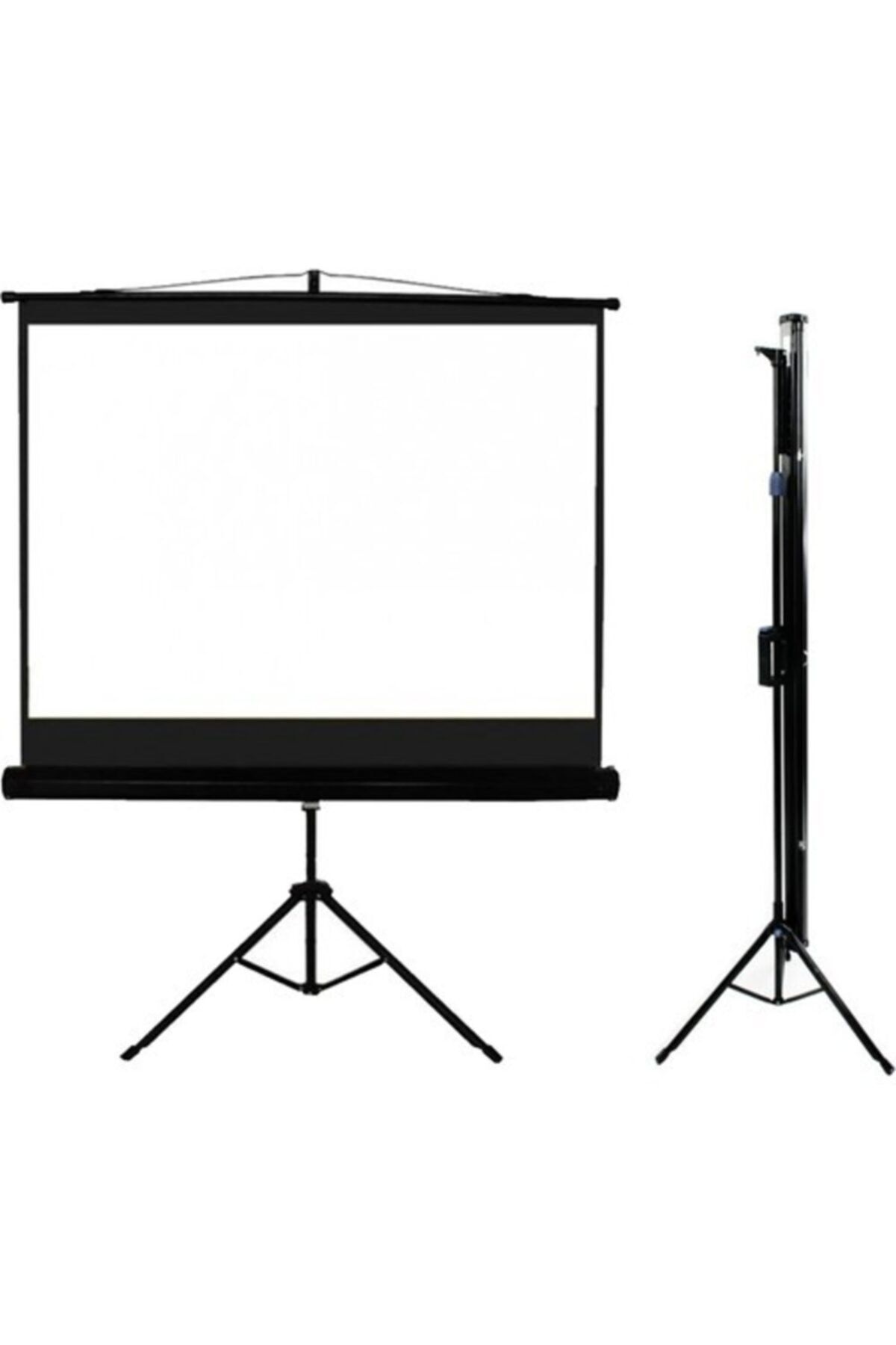 CODEGEN 240X200Cm Tripod Projeksiyon Perdesi TX-24