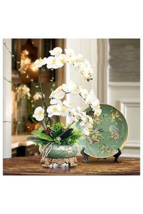Beyaz Orkide Tohumu 15 Adet 96300148hkhjk