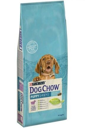 dog chow somon balikli yetiskin kopek mamasi 14 kg fiyati yorumlari trendyol
