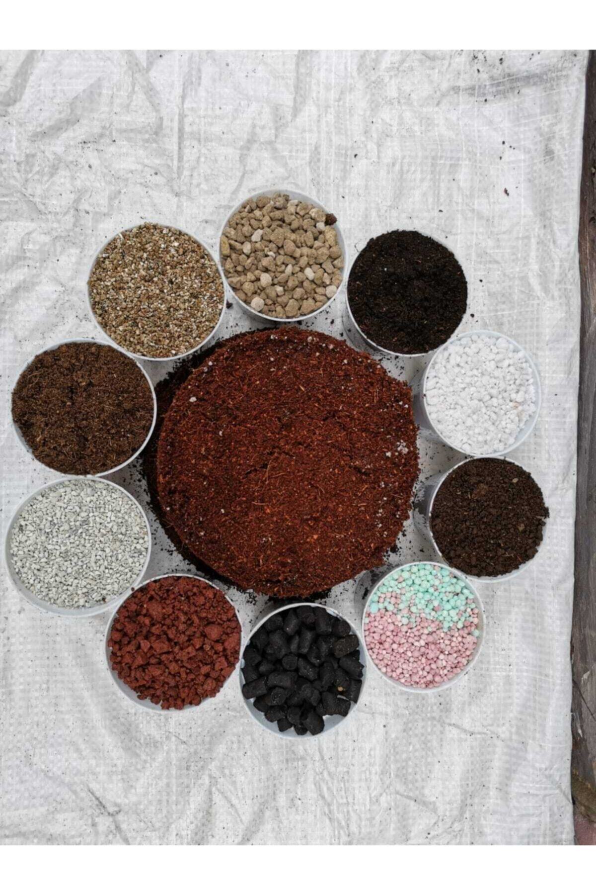 Kaktüs Toprak Karışımı  4 Litre