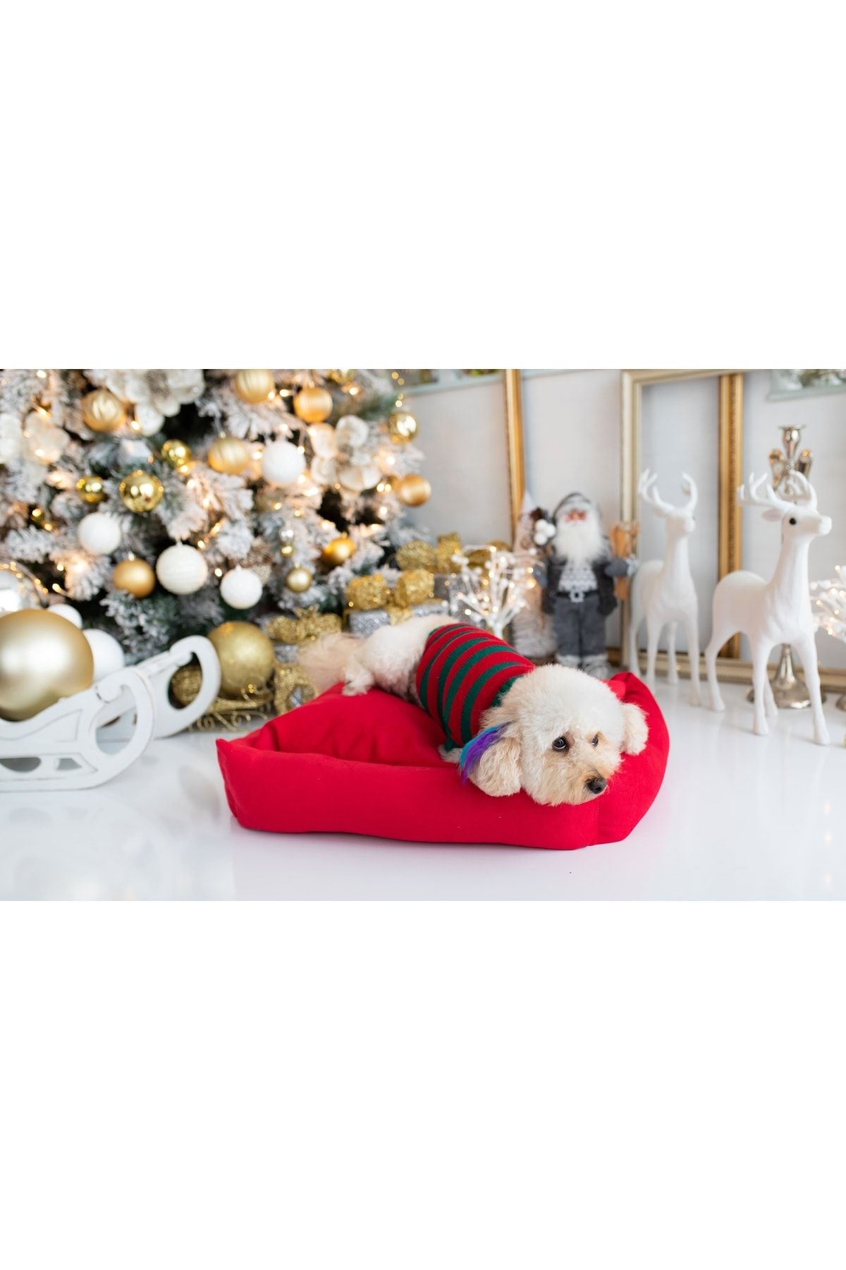 تشک سگ و گربه قرمز در سایز 50×70 پت اسنو PETSNOW