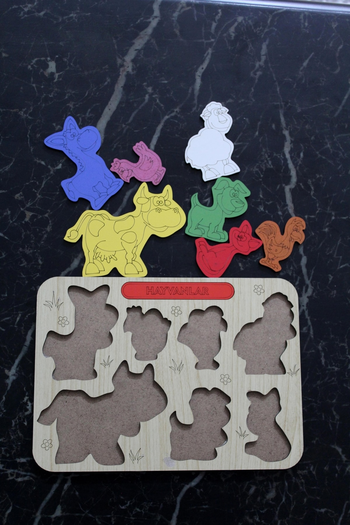 توسعه‌دهنده آموزشی: مجموعه نقشه قاره‌ها و ابزارها، بسته ۲ عددی محصول دوگانه