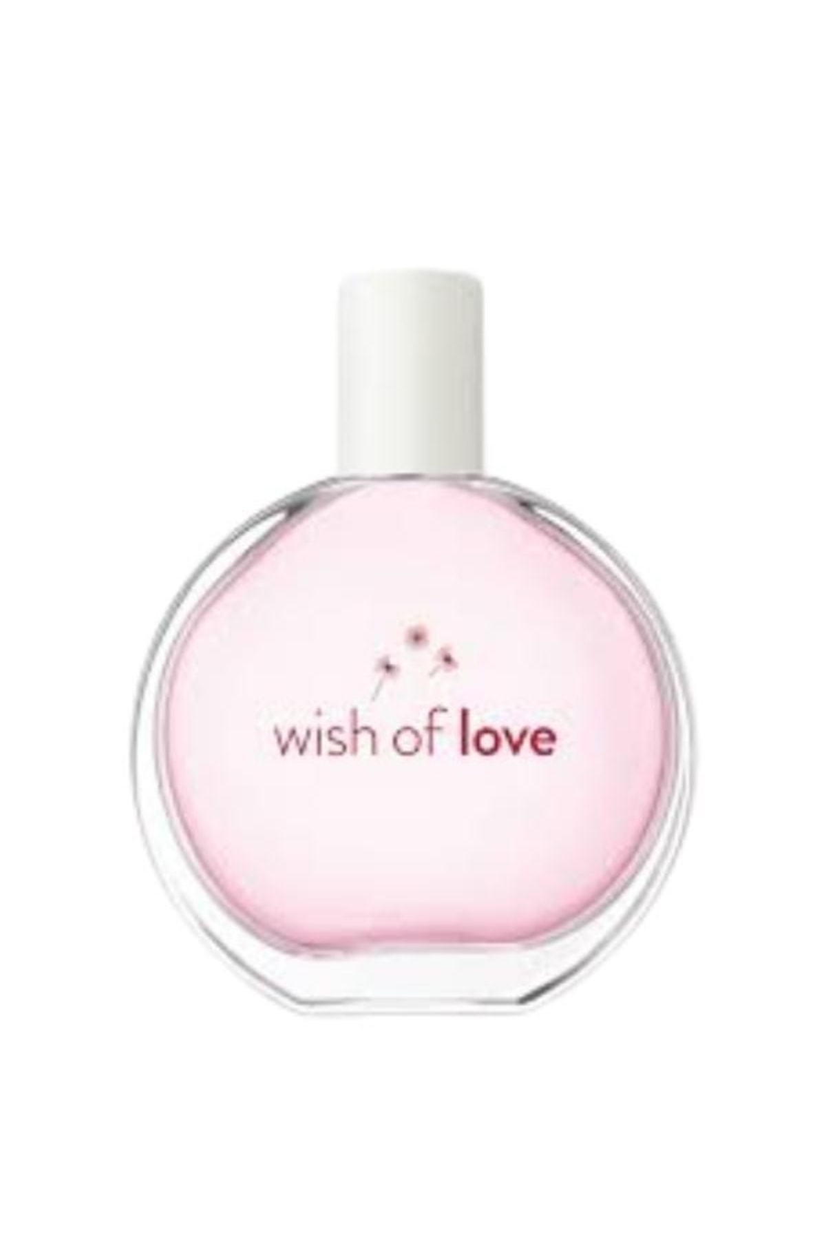 Wish Of Love Edt 50 Ml Kadın Parfümü 2'li + Pur Blanca Edt 50 Ml Kadın Parfüm Seti — 617593428751 — تصویر 2 از 3