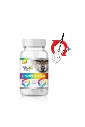 Eco Beta Vitamin Mineral 60 Tablet BPN.014