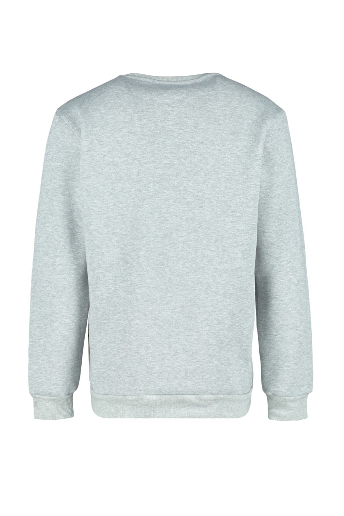 Trendyol Collection-Ню Йорк бродиран сив суичър от полар - нормална кройка Tmnaw23Sw00481 8
