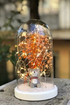 Işıklı Fanus Çocuk Odası Hediyesi Çantalı Kedi Figürlü Gece Lambası TYC00335630220