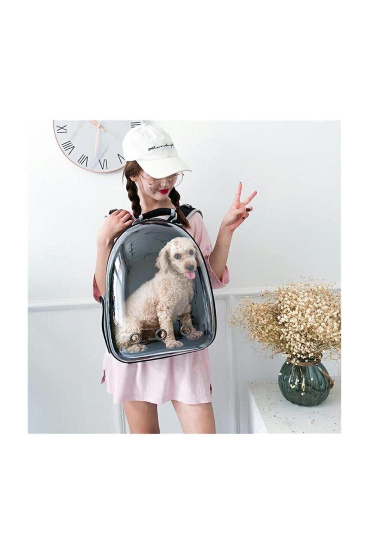 Diledi in Gibi Original Imported Astronaut Cat Dog Backpack Carrying Bag Blue