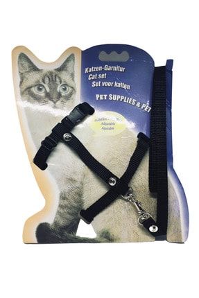 alice kitty premium yavru kedi mamasi