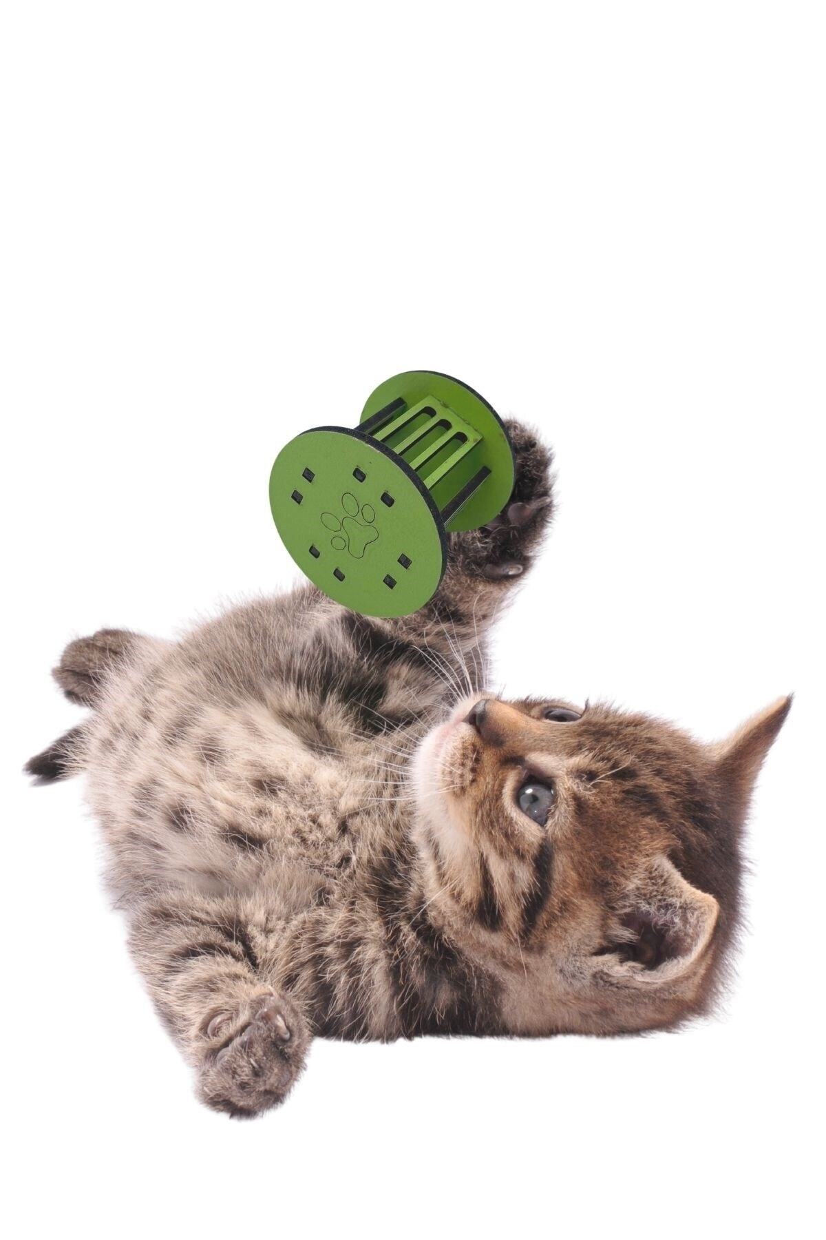 Buffer-® Mini Cylinder Fun Colorful Sturdy Small Paw Print Shaped Cat Toy 3
