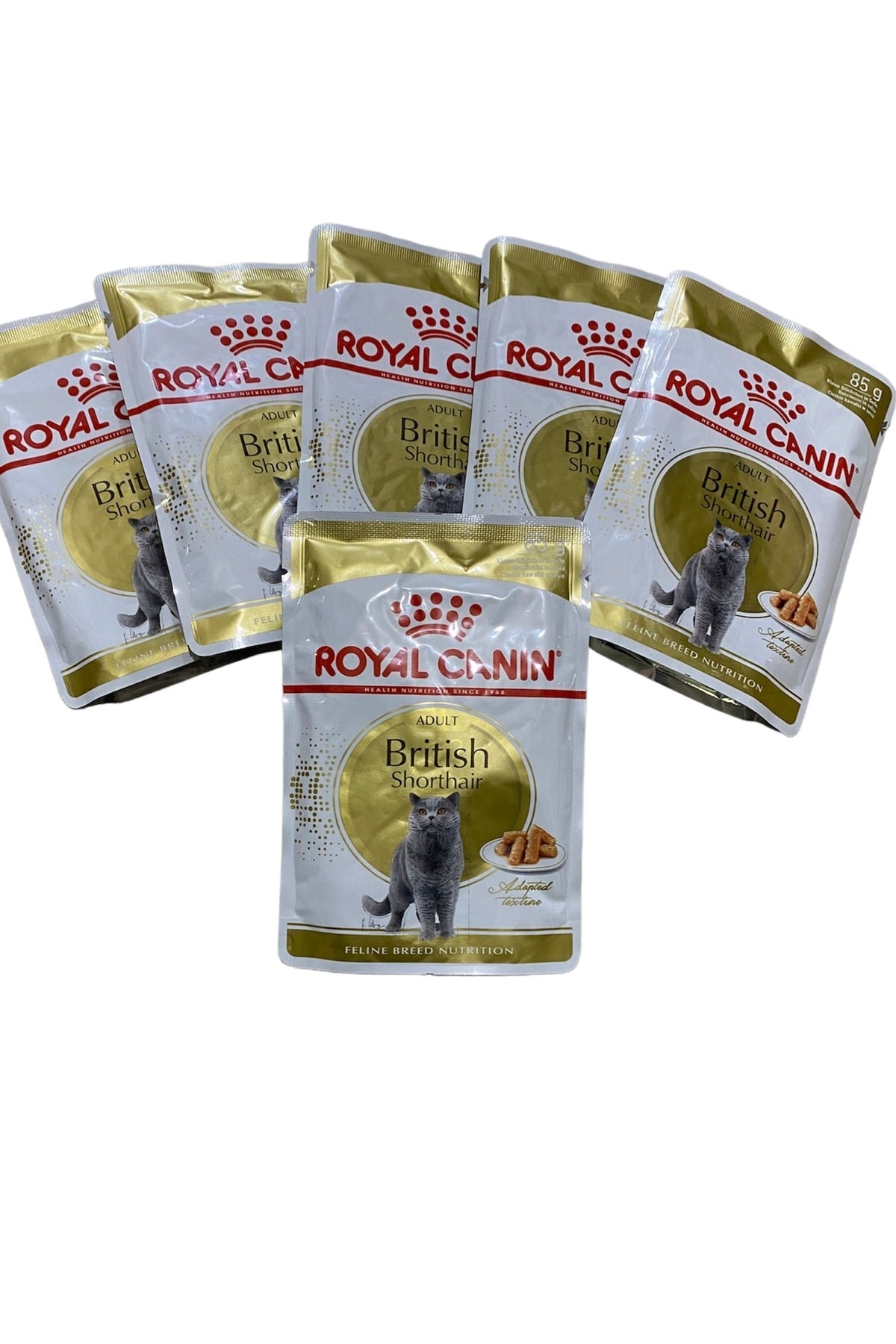 British Shorthair Adult Pouch Yaş Kedi Maması Konserve Kedi Maması 6x85gr