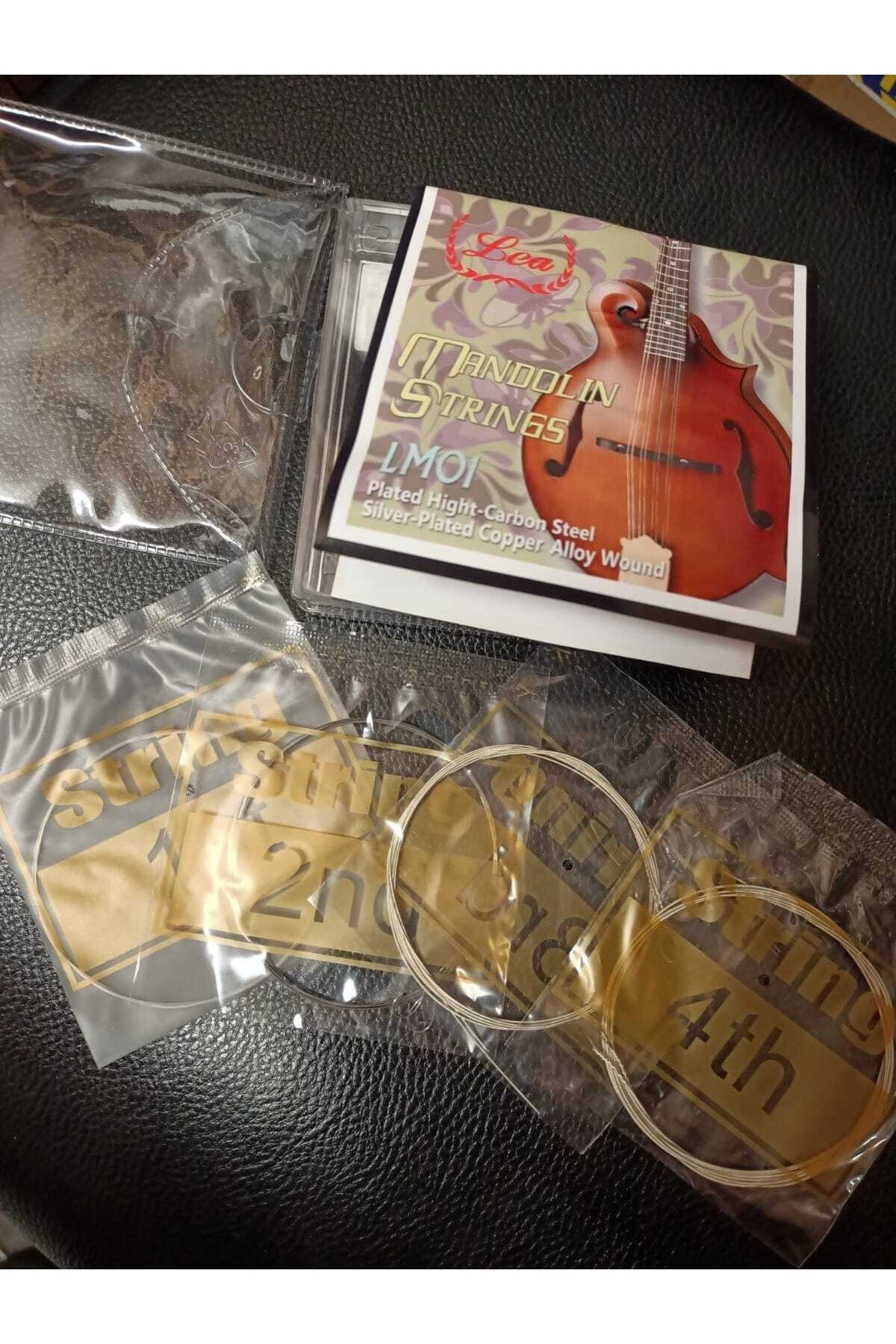 LEA-Lm01 Model Standard Mandolin String Set-Pea with Gift 3