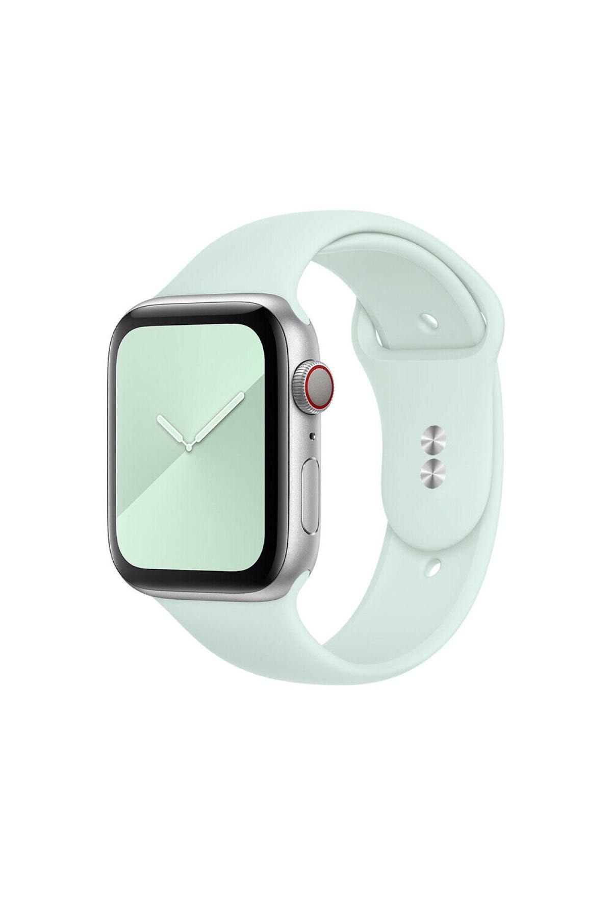 Apple watch band size 8 in mm deals